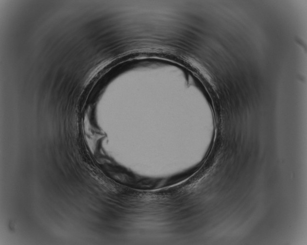 X0000091930829200710031057