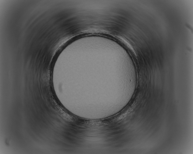 X0000091930831200710031057