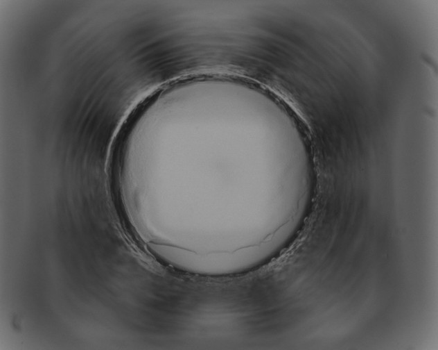 X0000091930832200710031057