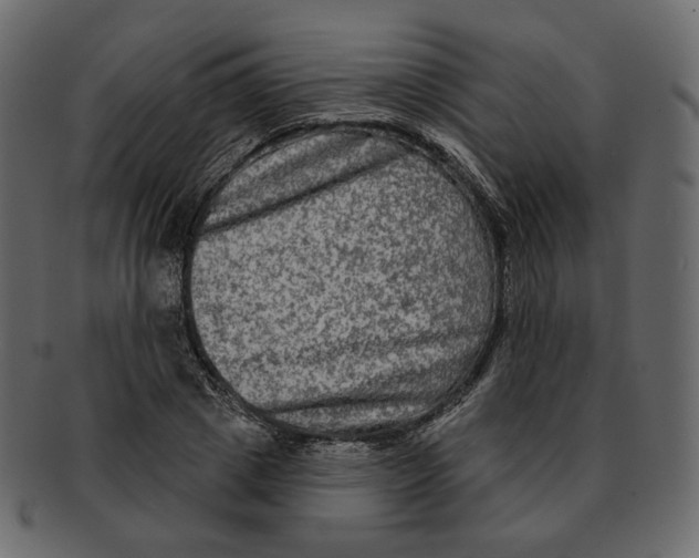 X0000091930833200710031057