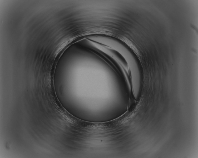 X0000091930834200710031057