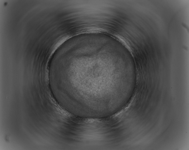 X0000091930835200710031057