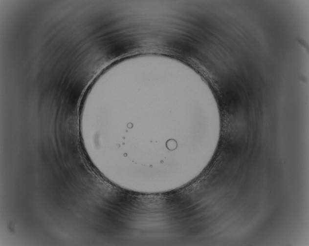 X0000091930836200710031057