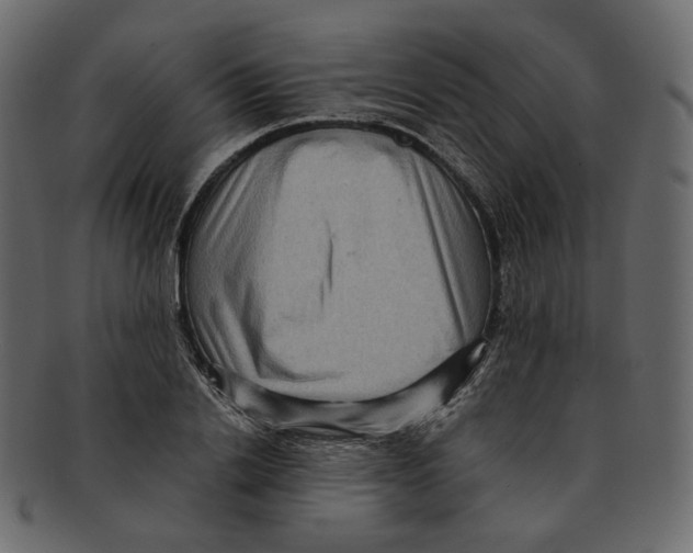 X0000091930838200710031057