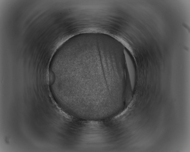 X0000091930839200710031057