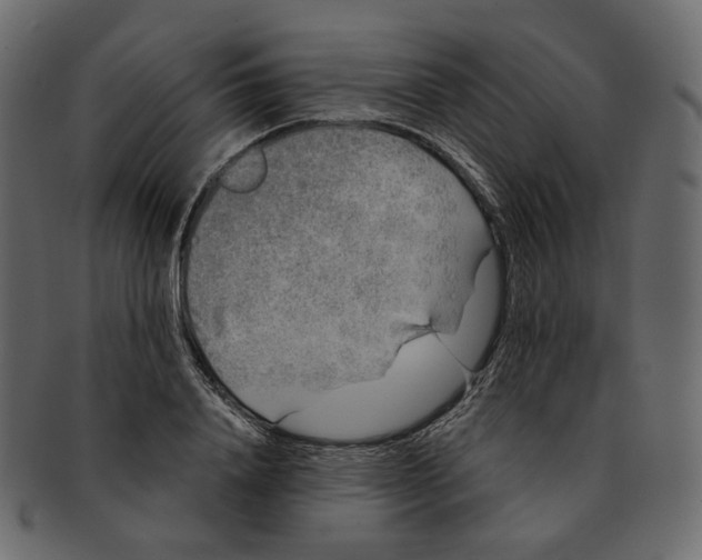 X0000091930840200710031057