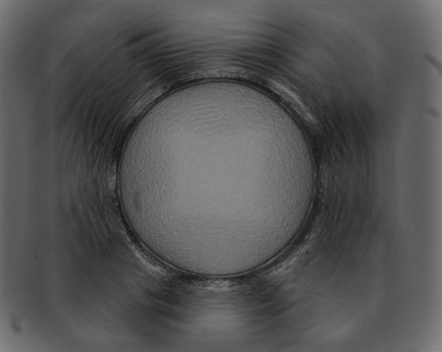 X0000091930841200710031057