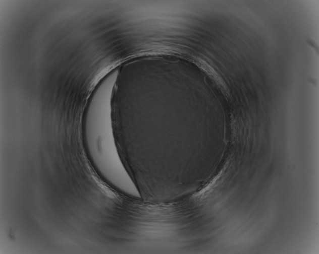 X0000091930842200710031057