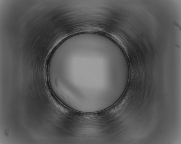 X0000091930843200710031057