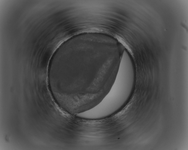 X0000091930845200710031057