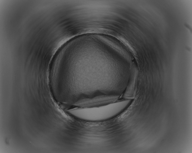 X0000091930846200710031057