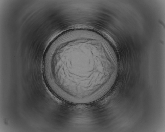 X0000091930847200710031057