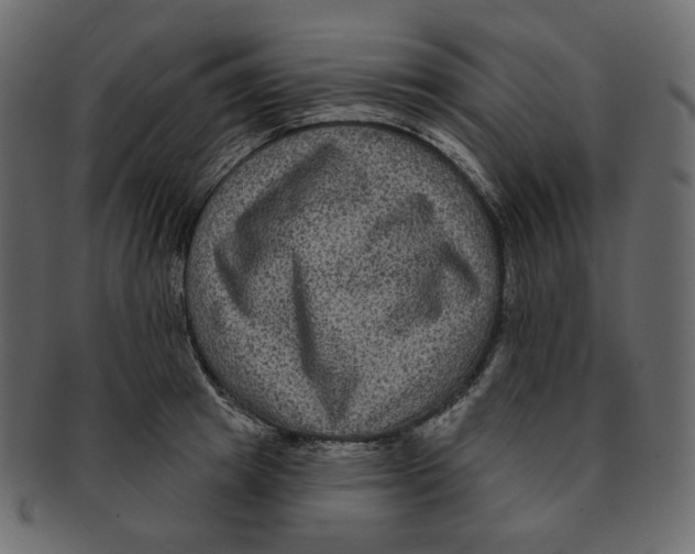 X0000091930849200710031057