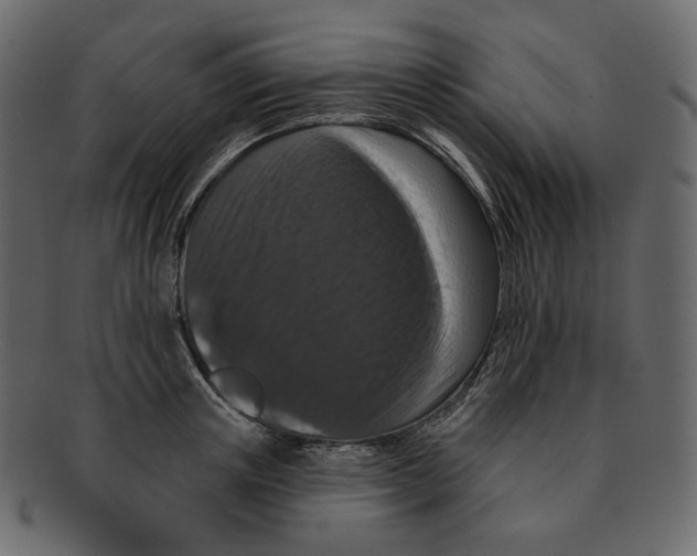 X0000091930851200710031057