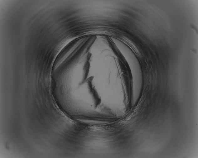 X0000091930852200710031057