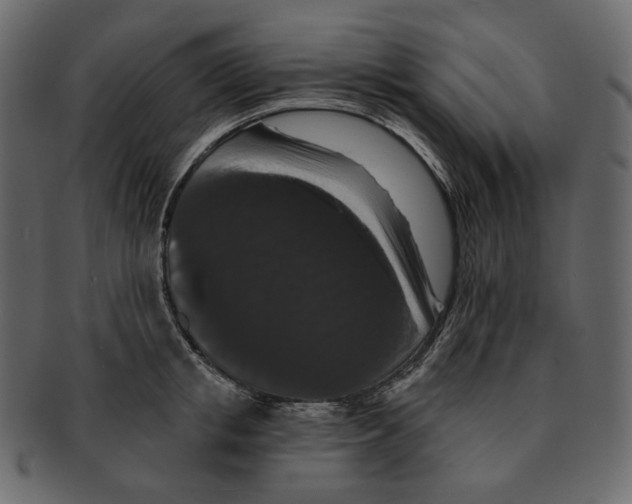 X0000091930853200710031057