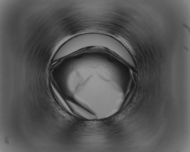 X0000091930854200710031057