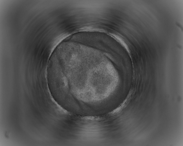 X0000091930855200710031057