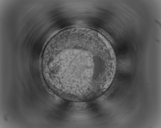 X0000091930856200710031057