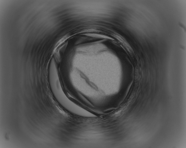 X0000091930858200710031057