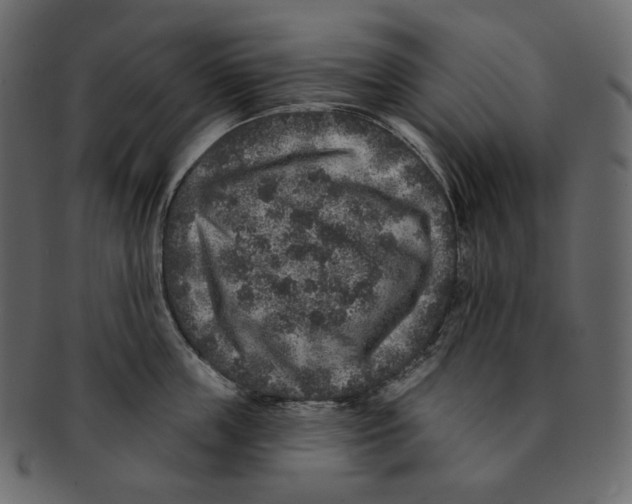 X0000091930859200710031057