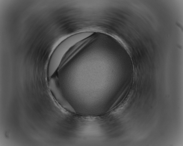 X0000091930862200710031057