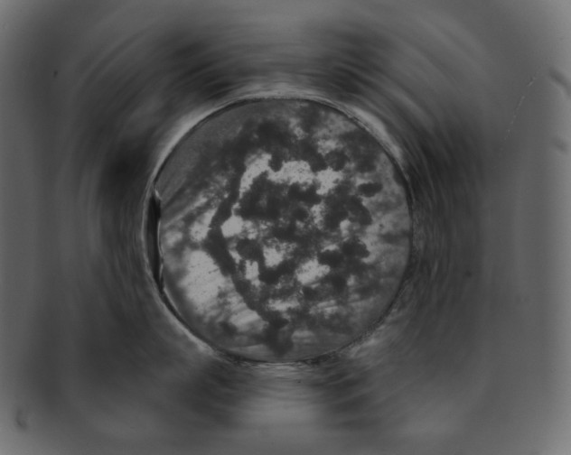 X0000091930863200710031057