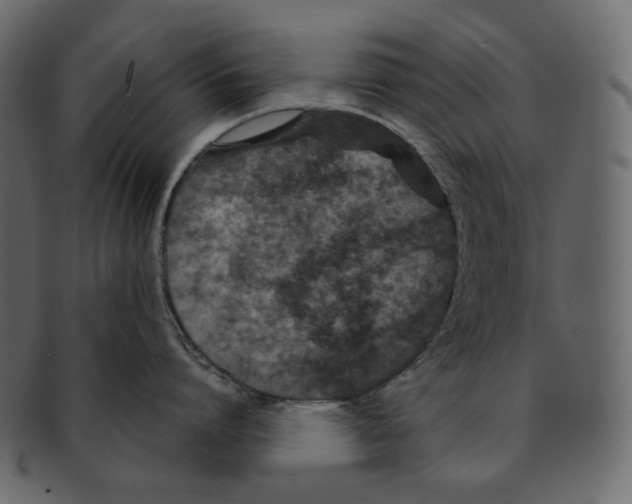 X0000091930864200710031058