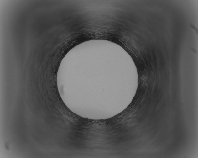 X0000091930865200710031057