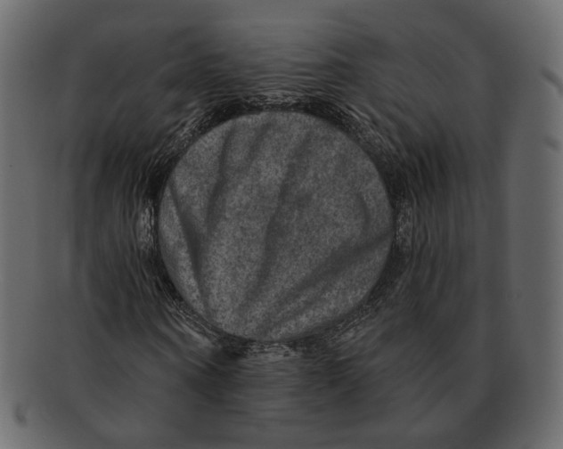 X0000091930866200710031057