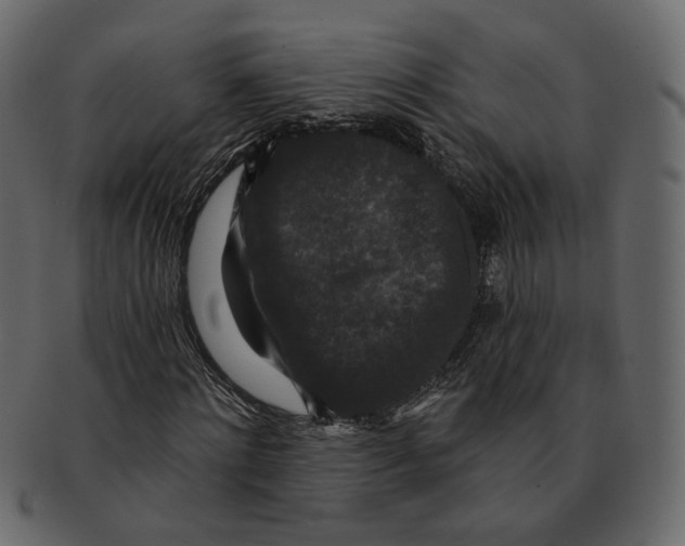 X0000091930868200710031057