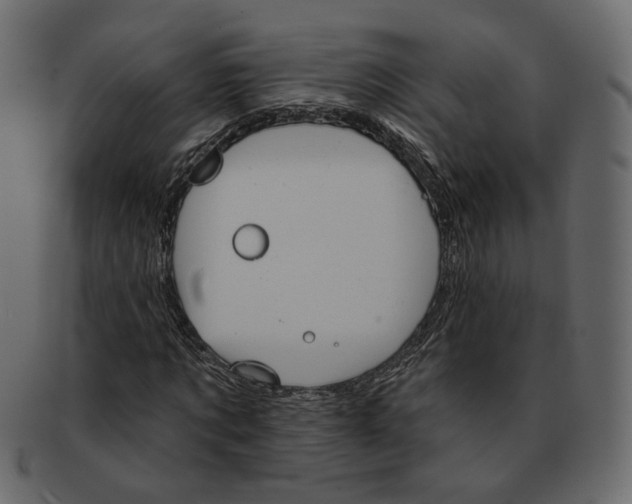 X0000091930869200710031057