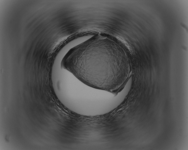 X0000091930872200710031057