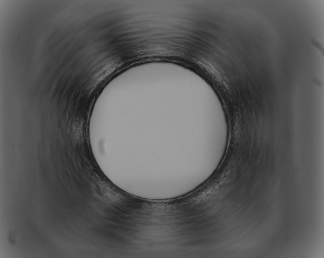 X0000091930873200710031057