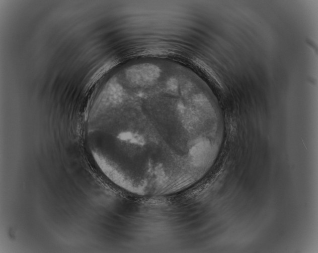 X0000091930874200710031057