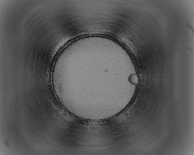 X0000091930875200710031057