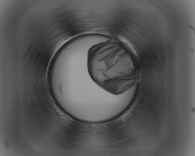 X0000091930876200710031057