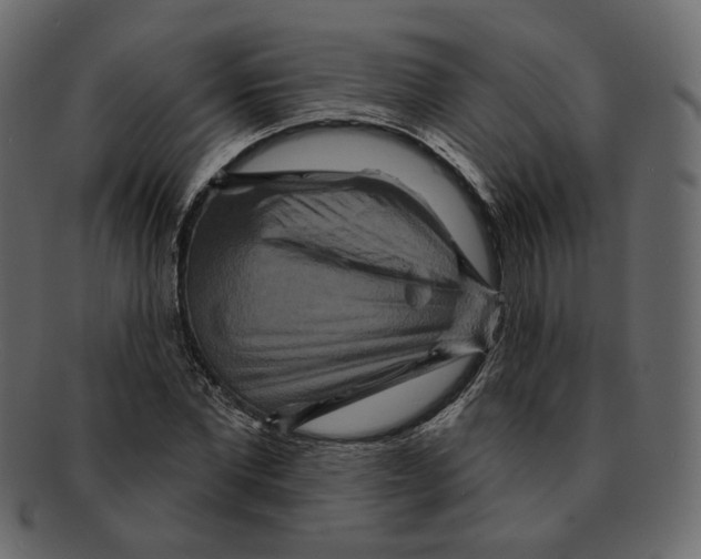 X0000091930877200710031057