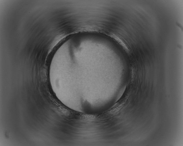 X0000091930878200710031057