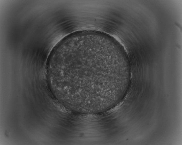 X0000091930879200710031057