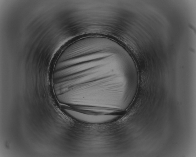 X0000091930880200710031057