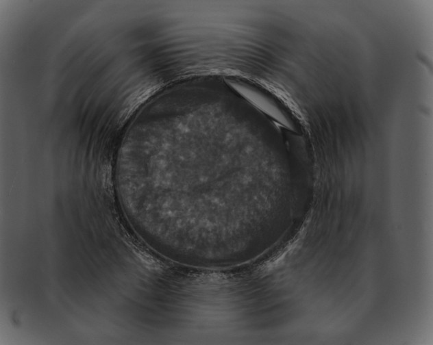 X0000091930881200710031057