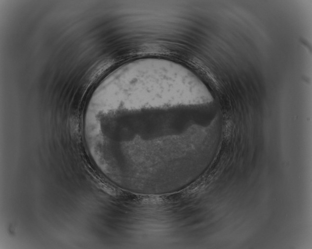 X0000091930882200710031057