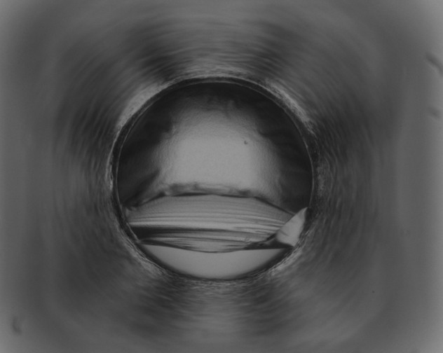 X0000091930885200710031057