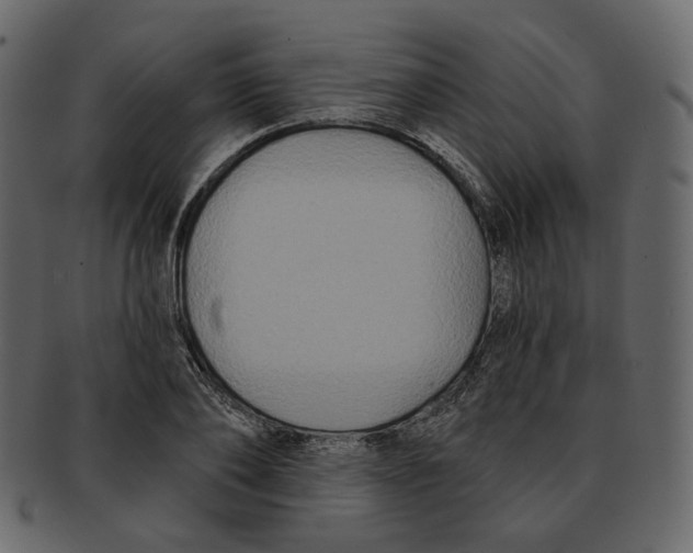 X0000091930886200710031057