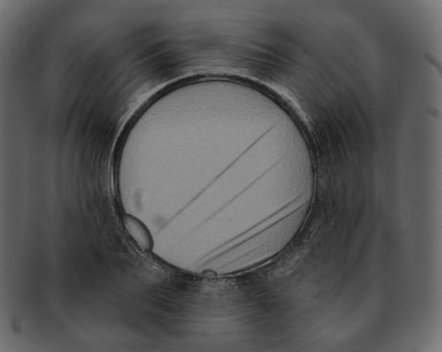 X0000091930887200710031057