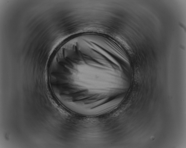 X0000091930888200710031056