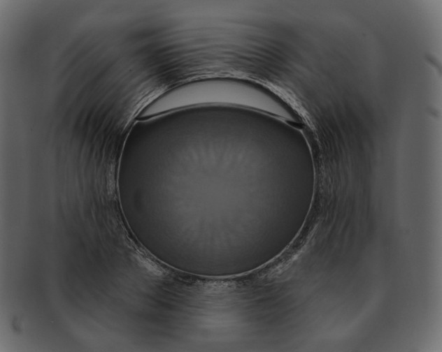 X0000091930889200710031056