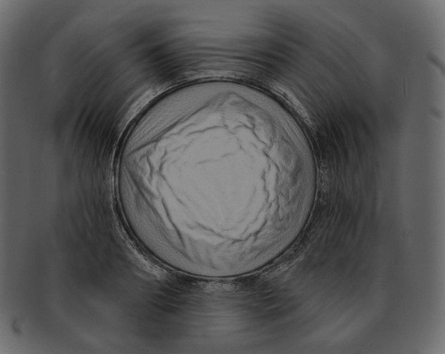 X0000091930890200710031056