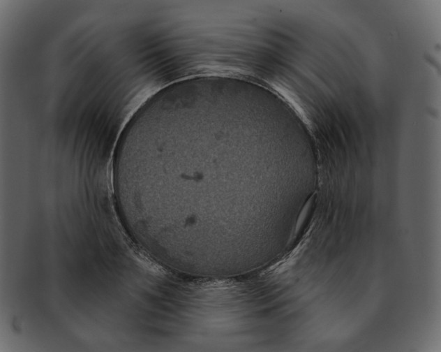 X0000091930891200710031056